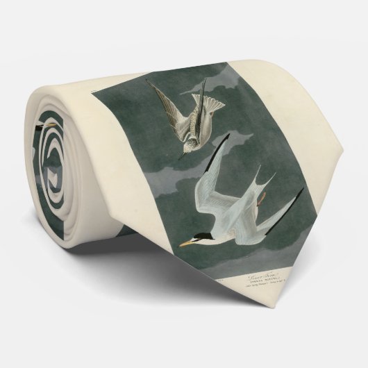 Lesser (minst) Tern - Audubon's vogels in Amerika Stropdas (Opgerold)