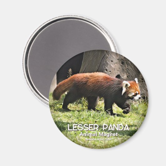 Lesser panda magneet (Voorkant / Achterkant)