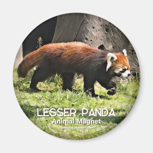 Lesser panda magneet (Voorkant)