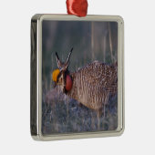 Lesser Prairie-Chicken, Tympanuchus Metalen Ornament (Rechts)