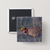 Lesser Prairie-Chicken, Tympanuchus Vierkante Button 5,1 Cm (Voorkant /achterkant)