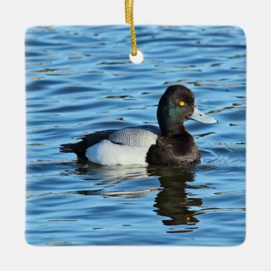 Lesser Scaup - Bluebill Duck Drake Keramisch Ornament (Voorkant)