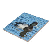 Lesser Scaup - Bluebill Duck Drake Tegeltje (Zijkant)
