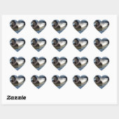 Lesser Scaup Duck Hart Sticker (Vel)