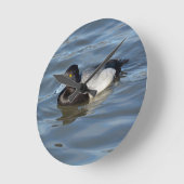 Lesser Scaup Duck Ronde Klok (Hoek)