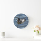 Lesser Scaup Duck Ronde Klok (Huis)