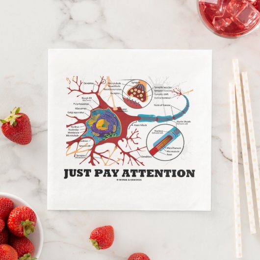 Let alleen op Neuron Synapse Neurotransmitter Servet (Insitu)