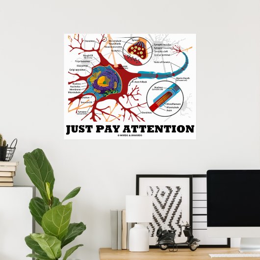 Let gewoon op (Neuron / Synapse Anatomical) Poster (Thuiskantoor)