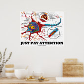 Let gewoon op (Neuron / Synapse Anatomical) Poster (Keuken)