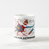 Let gewoon op (Neuron/Synapse) Koffiemok (Center)