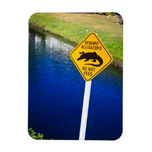 Let op: alligators voeren geen voer uit magneet