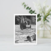 Let op! briefkaart (Staand voorkant)