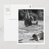 Let op! briefkaart (Voorkant / Achterkant)