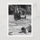 Let op! briefkaart (Voorkant)