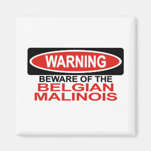 Let op de Belgische malinoiën Magneet