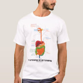 Let op de intuïtie van de darm (anatomische Humor) T-shirt (Voorkant)
