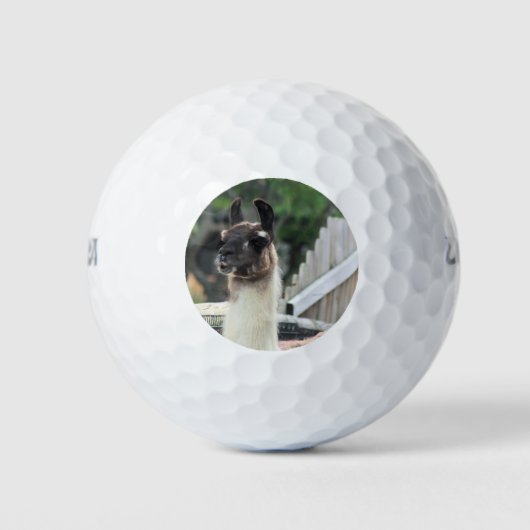 Let op de lama! golfballen (Voorkant)