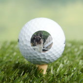 Let op de lama! golfballen (Insitu Shirt)