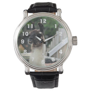 Let op de lama! horloge