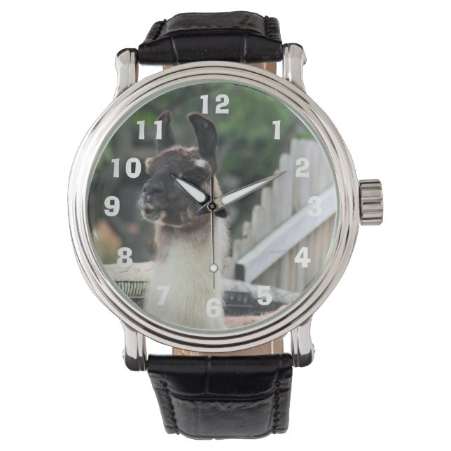Let op de lama! horloge (Voorkant)
