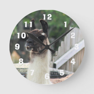 Let op de lama! ronde klok