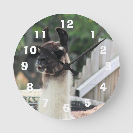 Let op de lama! ronde klok (Voorkant)