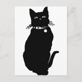Let op de zwarte kat briefkaart