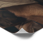 Let op! Deze tuin is niet schoon! Poster (Hoek)