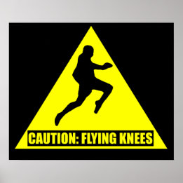 Let op: Flying Knees MMA/ Muay Thai Poster