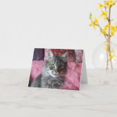 Let op Kaart met kitten foto (Gele Bloem)