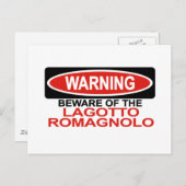 Let op: Lagotto Romagnolo Briefkaart (Voorkant / Achterkant)