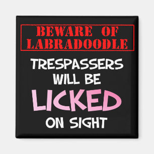 Let op: Lschopende labradoedle (Black) Magnet