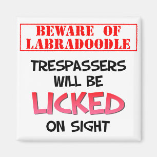Let op: Lschopende labradoedle (White) Magnet