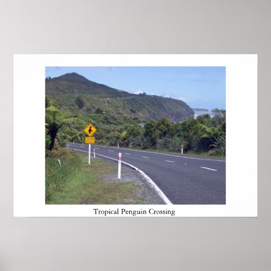Let op pinguïns poster (Voorkant)