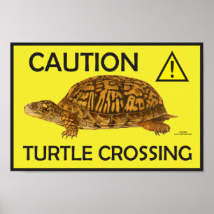 Let op Turtle Crossing Poster