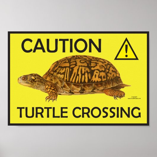 Let op Turtle Crossing Poster (Voorkant)