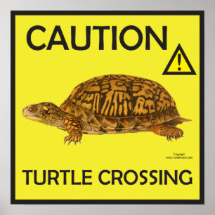 Let op Turtle Crossing Poster