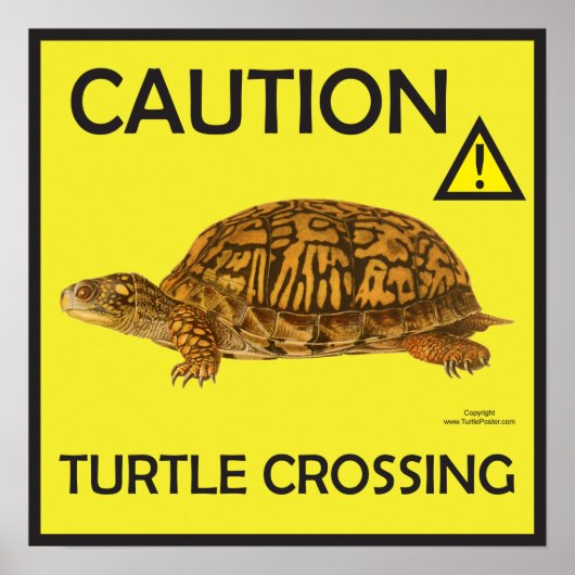 Let op Turtle Crossing Poster (Voorkant)