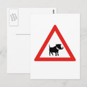 Let op Warthogs, Traffic Sign, Zuid-Afrika Briefkaart (Voorkant / Achterkant)