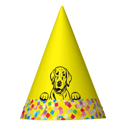 "Let s PAWTY" Labrador Confetti Party Petten Feesthoedjes (Voorkant)
