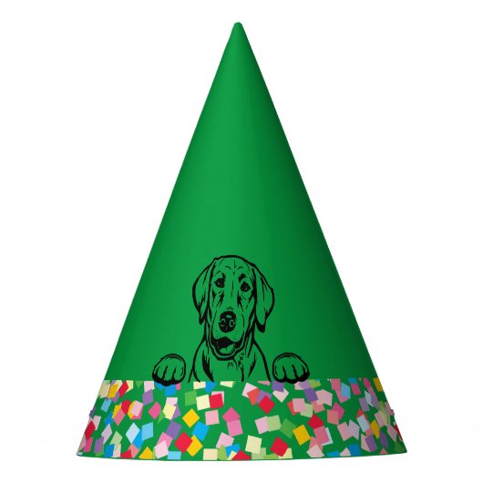 "Let s PAWTY" Labrador Confetti Party Petten Feesthoedjes (Voorkant)