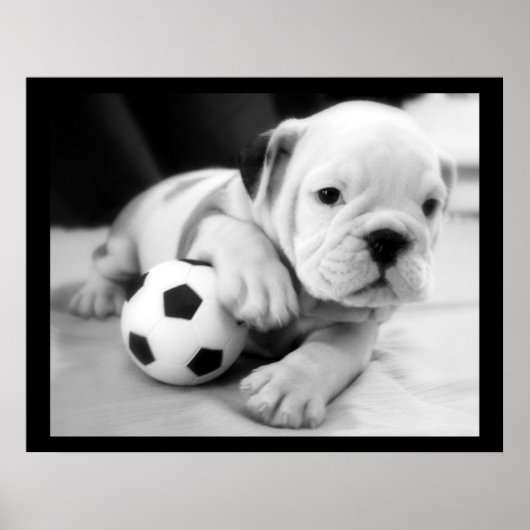 "Let s Play Soccer" English Bulldog Poster (Voorkant)