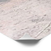 Let Sleepy Lions Lie Perfect Poster (Hoek)