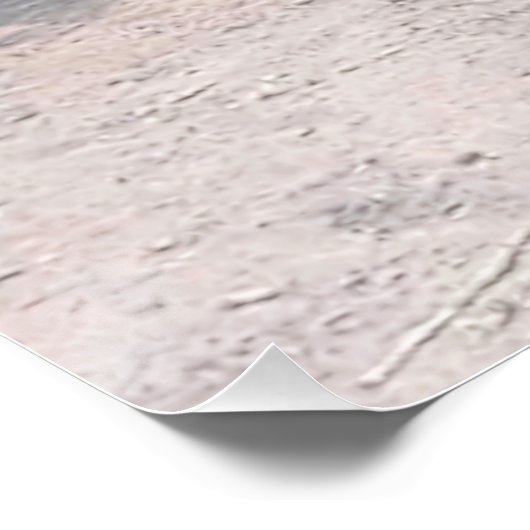 Let Sleepy Lions Lie Perfect Poster (Hoek)