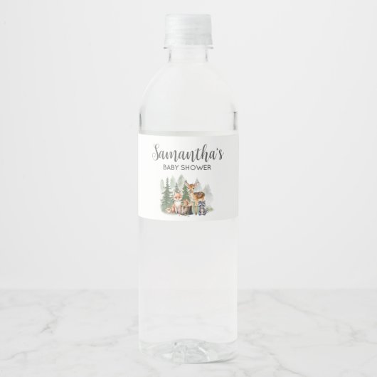 Let the Adventure Begin Baby Shower Waterfles Etiket (Voorkant)