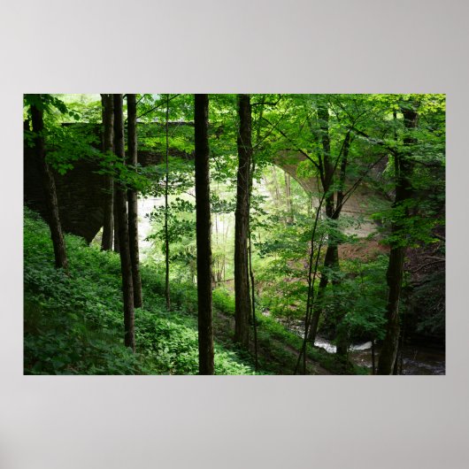 Letchworth Bridge Green Forest 36" x 24" Poster (Voorkant)
