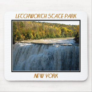 Letchworth State Park Middle Herfsten Muismat