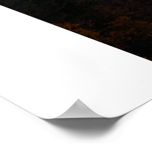 Letchworth State Park Poster/Print Poster (Hoek)