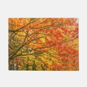 Letchworth Tree Branches Sinaasappel Natuur Deurmat