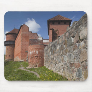 Letland, Noordoost-Letland, Vidzeme Regio, 2 Muismat